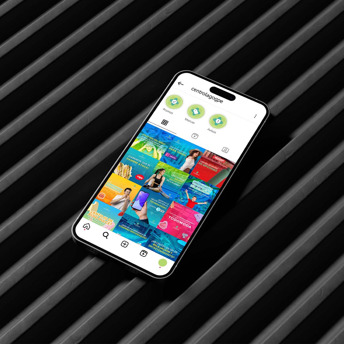 Centro lago de Guadalupe